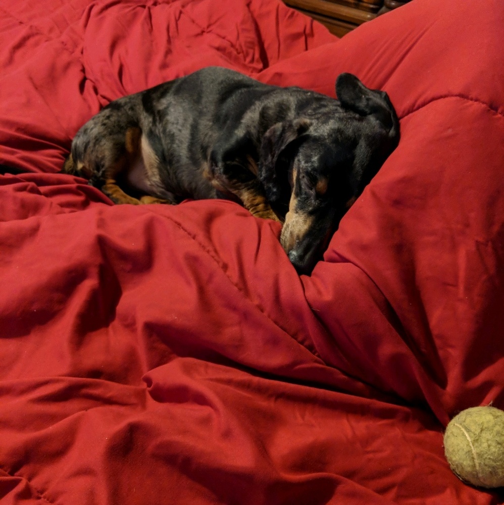 Meet your Posher, Donnette